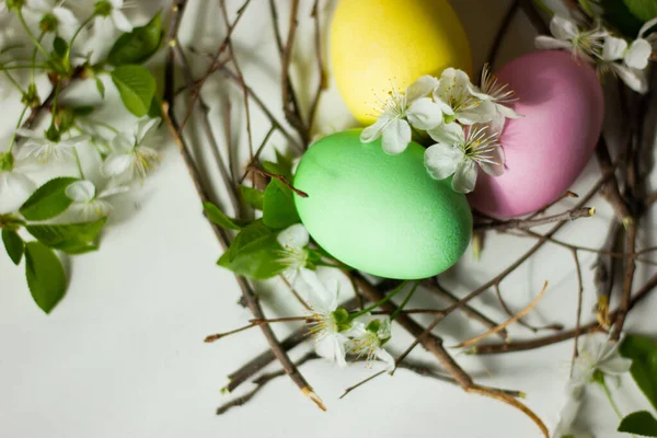 Yuvada Paskalya yumurtaları ve beyaz arka planda beyaz arkaplan üzerinde pembe çiçekli sakura dalları, ışık. Mutlu Paskalyalar, üst manzara, düz yatak