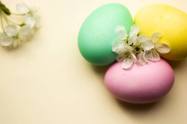 Coloeful Paskalya yumurtaları alan pastel renk zemin üzerine.