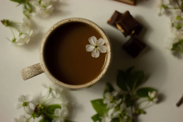 Kayısı dallarıyla kompozisyon ve beyaz fincanda köpüklü taze kahve. Sakin ol, önce paranı öde. Üst Manzara. Düzen