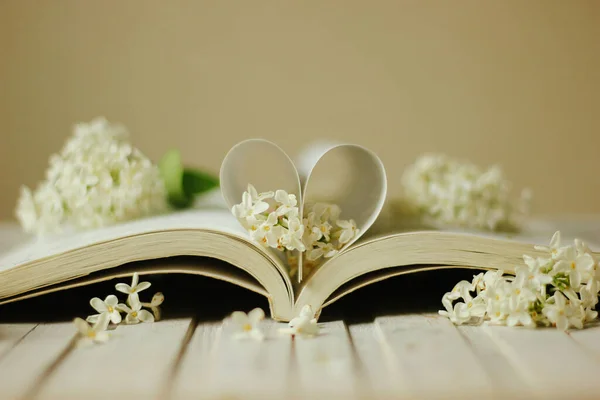Pages Book Forming Shape Heart Love Velantine Fotografia Stock