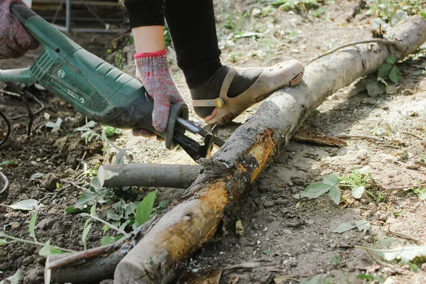 Dişi marangoz elektrikli testereyle odun kesiyor. Önlüklü kadın atölyesinde ya da garajında elektrikli yapboz kullanarak marangozluk yapıyor..