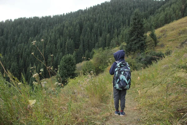 Caminhadas Jovens Viajantes Com Mochilas Caminhadas Nas Montanhas Paisagem Ensolarada — Fotografia de Stock