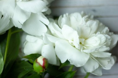 Beyaz renkli ahşap tahtaların arka planında tomurcukları olan beyaz bir şakayık. Üst manzara, düz uzanma.