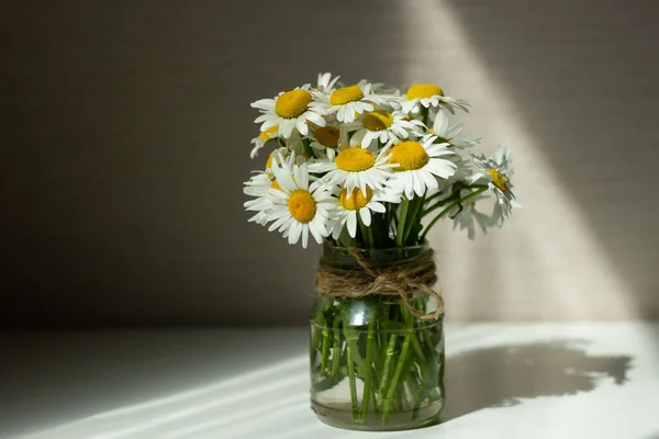 Sommar Stilleben Med Vilda Tusensköna Kamomillblommor Daisy Kamomill Blommor Glasburk — Stockfoto