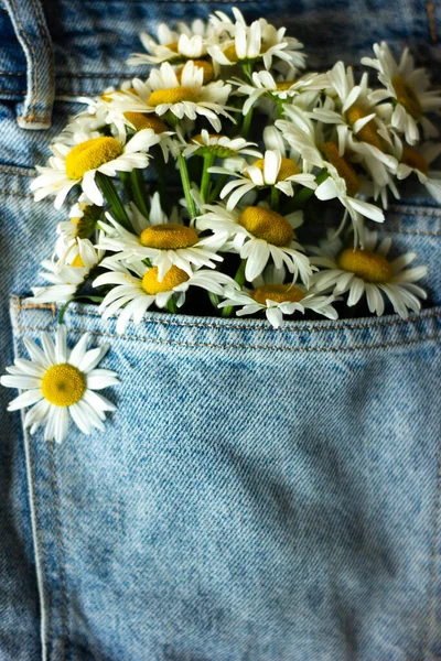 Yeşil zemin üzerine bir kot pantolon cebinde beyaz çiçek buketi. Minimalis. Kot kavramı. Düz yatıyordu. Uzay kopyalayın. Bahar şenlikli tema için yaratıcı düzen.