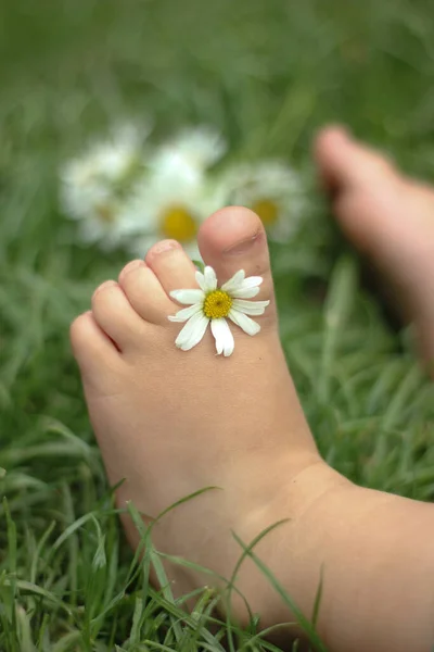 Kinderfüße Mit Kamille Auf Grünem Gras Selektiver Fokus Natur Stockfoto