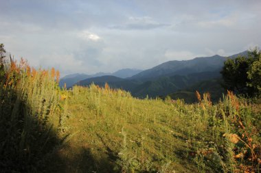 Gün doğarken Dağ Vadisi. Doğal yaz manzarası. Dağlarda gün batımı