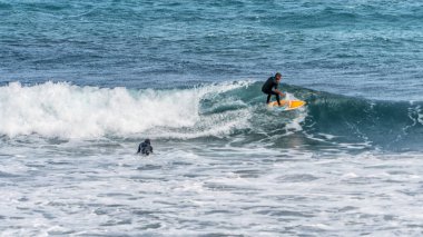 Las Plamas de Gran Canaria 'daki La Cicer plajında sörf yapmak