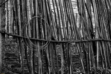 Çiftliğin arka planında sazlık çiti