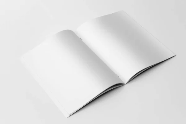 Brochure Publicité Magazine Mockup Rendu Fond Blanc — Photo