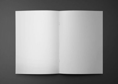 A4 Reklam Dergisi Broşür Model 3D Hazırlama