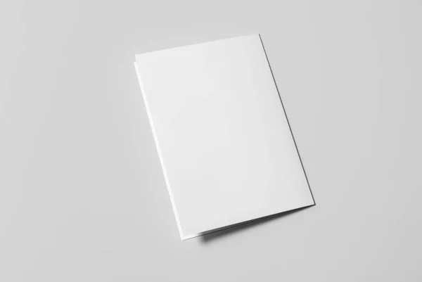 Fold Brochure Mockups 3D渲染 — 图库照片