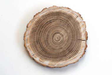 Markalaşma için Logo Model Şablonu