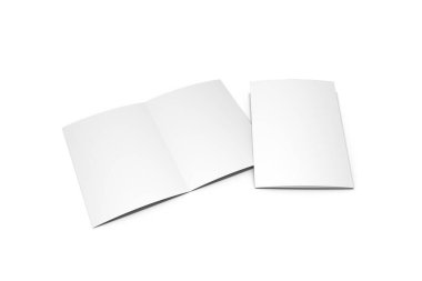 Half Fold A4 Brochure Mockups 3D Rendering