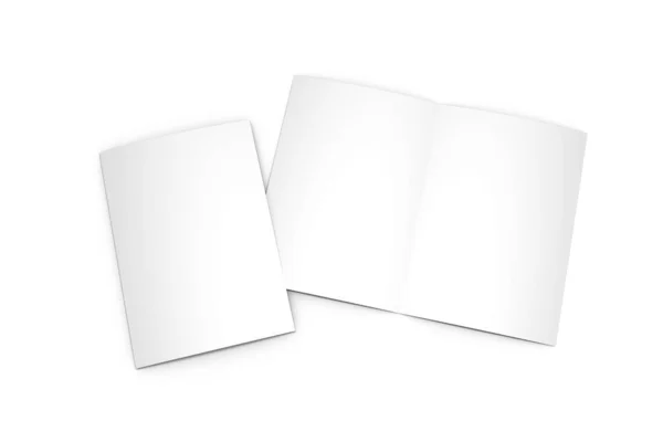 Half Fold Brochure Mockups Rendering — Foto Stock