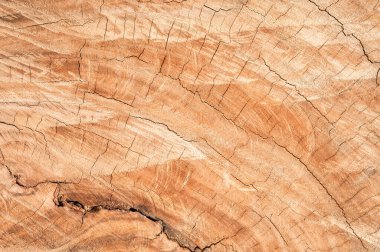 Ağaç kütüğü devrildi. Bagaj Tahtası doku arkaplanının bir bölümü