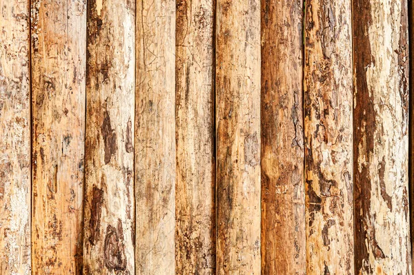Natural Plank Wood Wall For text and background