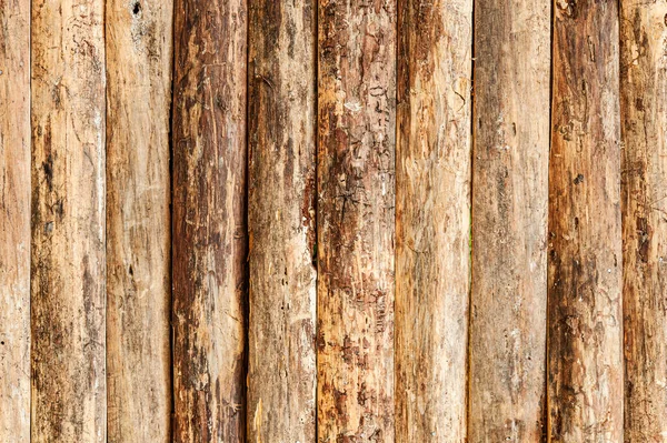 Natural Plank Wood Wall For text and background