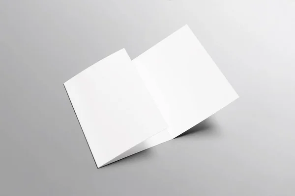 Tri Fold Brochure Flyer Mockup Size Blank Rendering — 图库照片