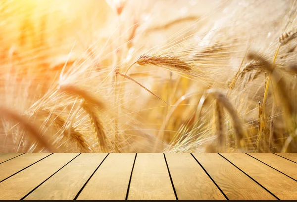 Buğday Tarlası Arkaplanının Üzerine Boş Tahta Masa — Stok fotoğraf