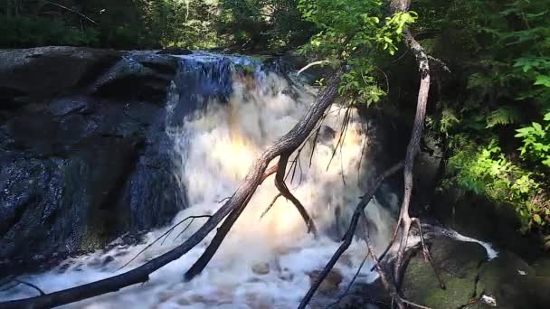 Mooie opnamen van een waterval met velddiepte — Stockvideo