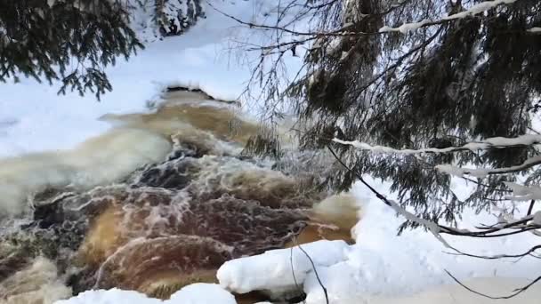 Cachoeira viva no inverno na neve. gelo, água — Vídeo de Stock