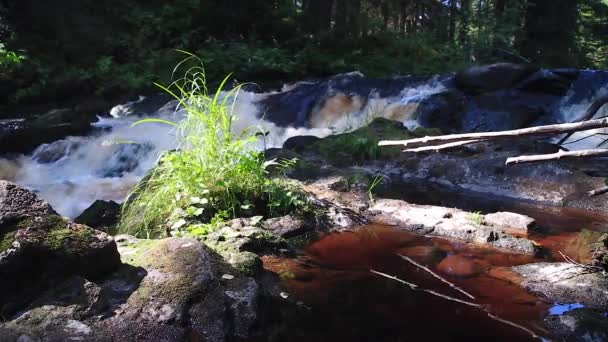 Красивые кадры водопада с глубиной резкости — стоковое видео