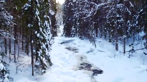 Cascata non ghiacciata in inverno dall'aria in 4k — Video Stock