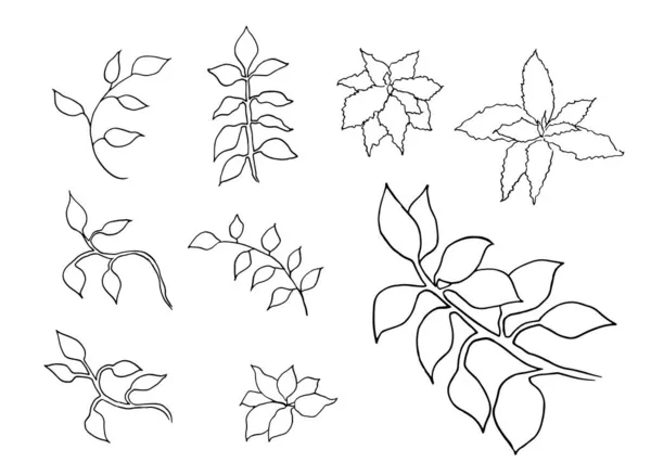 Ilustración botánica, clip art floral, conjunto de elementos de diseño, hojas verdes, vegetación de la selva — Vector de stock