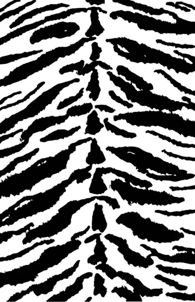 Abstract tiger horizontal black and white stripes, exotic animal skin design background. — Stock Vector