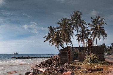 Sri Lanka sahilinde tsunamiden sonra harabeler ve palmiye ağaçları
