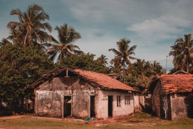 Sahilde Sri Lanka 'da palmiye ağaçları olan eski bir ev