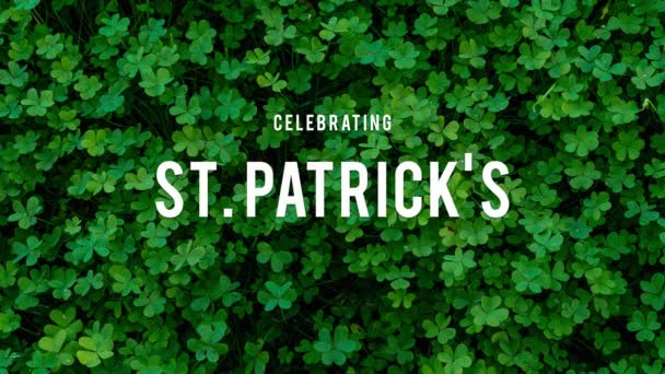 Patrick Day Vacances Vert Shamrock — Video