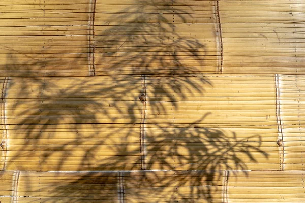 Bambu Vägg Konsistens Bakgrund Miljövänligt Material För Husbyggnad — Stockfoto