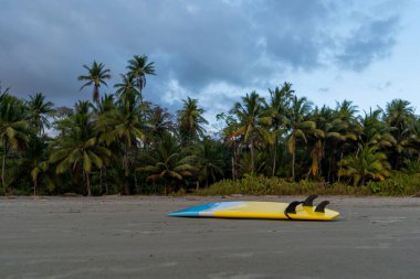 Bulutlu bir günde güneşin doğuşunda sahilde ıssız bir sörf tahtası. Boş sahilde sörf tahtası