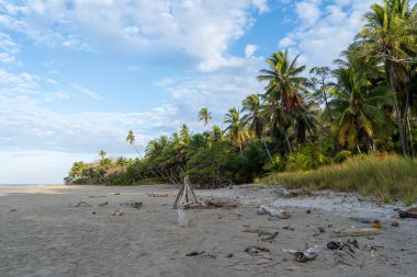 Santa Tersa, Kosta Rika 'daki Playa Hermosa' da sabah güneşinde güzel boş bir sahil..