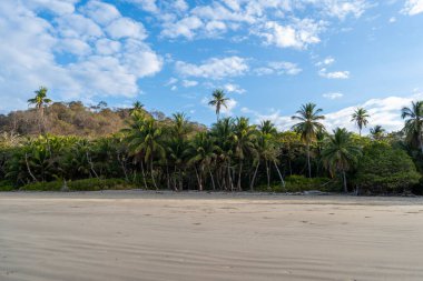 Santa Tersa, Kosta Rika 'daki Playa Hermosa' da sabah güneşinde güzel boş bir sahil..