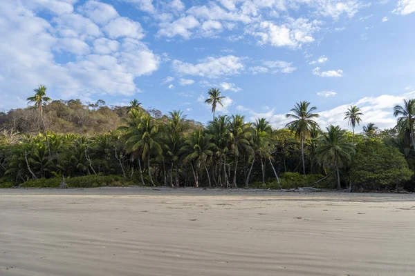 Santa Tersa, Kosta Rika 'daki Playa Hermosa' da sabah güneşinde güzel boş bir sahil..