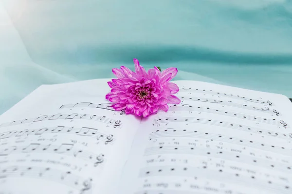 musical notation. Music in notes. Love to music,songwriterdried flower lies on an open book with notes. Selective focus