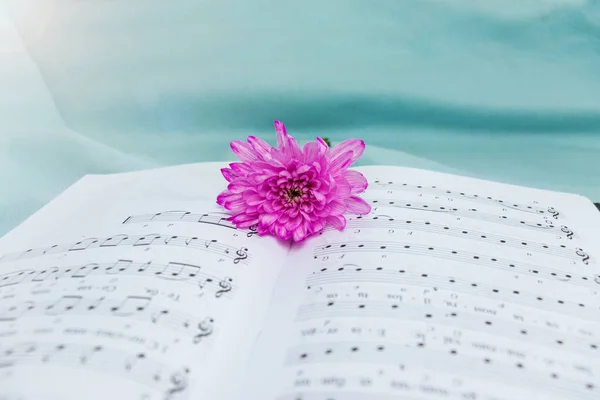Müzik notaları. Notalar halinde müzik. Müzikle aşk, şarkı sözü yazılan çiçekler açık bir kitabın üzerinde notalarla birlikte yatar. Seçici odak