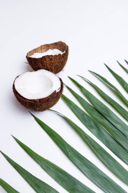 peeled coconut and palm branch on a white background.