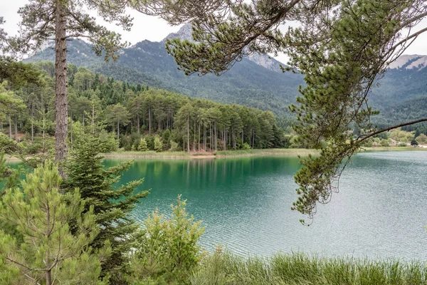 Coberto Com Floresta Coníferas Rodeado Por Montanhas Margens Lago Doxa Imagem De Stock