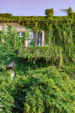 Sarmaşıkların ve sarmaşıkların vahşi bitki örtüsü iki katlı bir evin duvarlarını kapladı. Nafplion şehrinin duvarları çatıya kadar uzanıyordu..