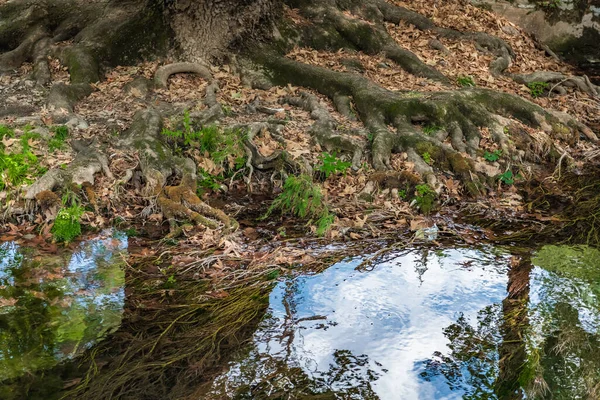 Mountain Stream Flows Center Greek Town Livadia Remains Old Watermill — Stock Photo, Image