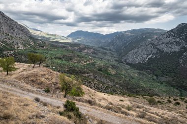 Toprak dağ yolu, Mora yarımadasındaki dağ yamaçlarının arasına sıkışmış zeytin ağaçlarıyla kaplı bir vadiye çıkar..