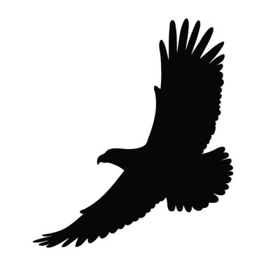 silhouette of a eagle isolated on white vector