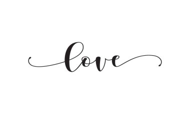love calligraphy text with swashes vector 