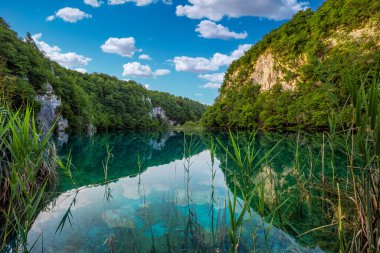 Plitvice, Hırvatistan - Plitvice Gölleri Ulusal Parkı 'nı berrak turkuaz su, mavi gökyüzü ve bulutlar ve yeşil yaz yapraklarıyla aydınlık bir yaz gününde yansıtmak