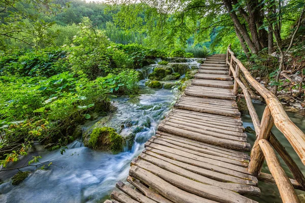 克罗地亚普里特维茨 普里特维茨湖国家公园的木制人行道 夏天阳光明媚 清澈碧绿的水 小瀑布和绿色的夏叶 — 图库照片
