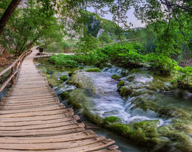 Plitvice, Hırvatistan - Plitvice Lakes Ulusal Parkı 'nda, berrak turkuaz su, küçük şelaleler ve yeşil yaz yapraklarıyla aydınlık bir yaz gününde ahşap yol
